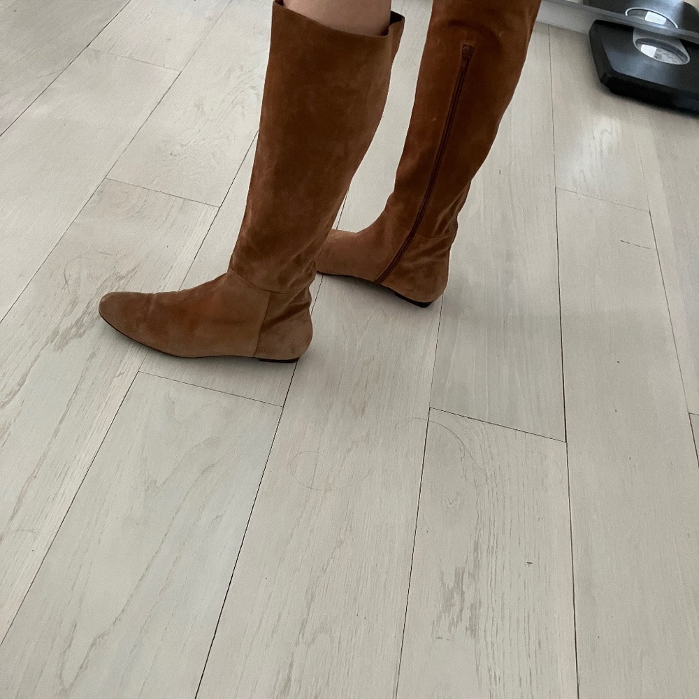 Delman suede boots